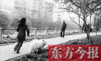 12月3日，鄭州市南關(guān)街熊兒河旁，一名遛狗的女子見到執(zhí)法人員檢查，迅速跑開