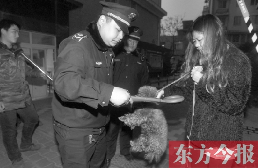 12月3日早上6點(diǎn)半，鄭州市南關(guān)街熊兒河旁，南關(guān)街辦事處的執(zhí)法人員對(duì)狗進(jìn)行排查