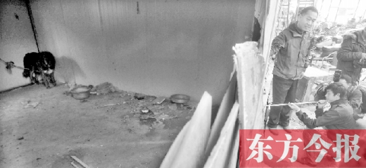12月4日，鄭州市未來(lái)路與隴海路交叉口西側(cè)，執(zhí)法人員用吹管麻醉針對(duì)付一只藏獒