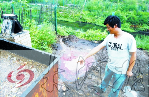 煉油點將骯臟、臭氣熏人的廢水直接排入溝渠。