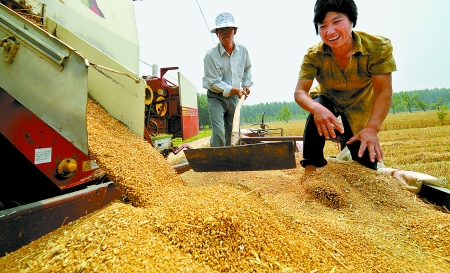 6月3日， 濮陽開發(fā)區(qū)胡村鄉(xiāng)后范莊村的續(xù)秀萍看著新打的粒大飽滿的小麥喜上眉梢。