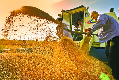 根據(jù)國家統(tǒng)計(jì)局核定結(jié)果，我省2012年糧食總產(chǎn)量達(dá)到1127.72億斤，成為第9個(gè)連續(xù)增產(chǎn)年份。