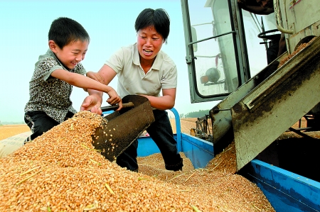 5月27日，確山縣劉店鎮(zhèn)前槽村郭景蓮和小孫子一起收獲小麥，豐收的喜悅寫在了臉上。