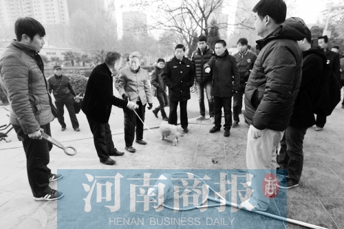 一只辦過狗證的小白狗，因為沒有拴犬鏈，被執(zhí)法人員暫扣