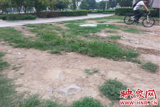 公園內(nèi)大片草坪遭到破壞。