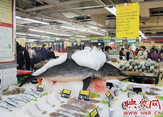 鄭州市一家超市海鮮區(qū)的冰架上赫然擺著一整條鯊魚在出售，鯊魚肉價格為23.80元每斤，遠(yuǎn)低于牛羊肉的價