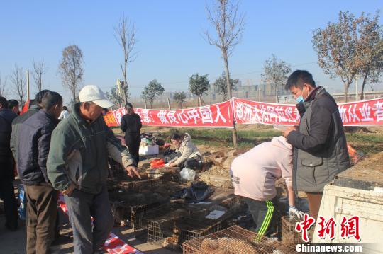 圖為百余名愛(ài)狗人士把老李的貨車攔截，數(shù)十人正在從貨車上卸下裝滿狗的鐵籠。　馬義恒　攝