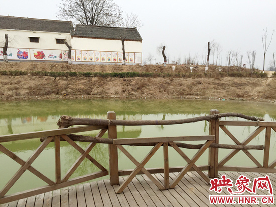 護(hù)欄損毀的地方，已經(jīng)被兩根樹(shù)干擋住。