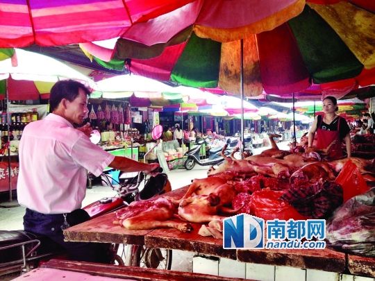  昨日，玉林垌口市場，一位市民在購買狗肉。
