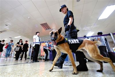 地鐵王府井站搜汽油警犬在安檢口巡邏。新京報記者 王貴彬 攝