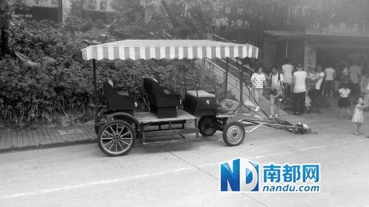 園方則稱解剖后發(fā)現(xiàn)馬死于心臟衰竭，“與累無關(guān)”。