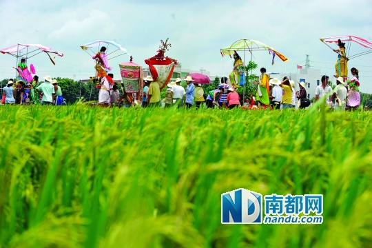 崖口村每年都在村里舉行飄色巡游活動。