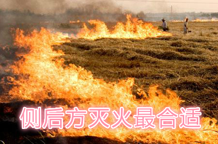 不要在風(fēng)頭上打火：風(fēng)正大，火正旺，最容易傷人；