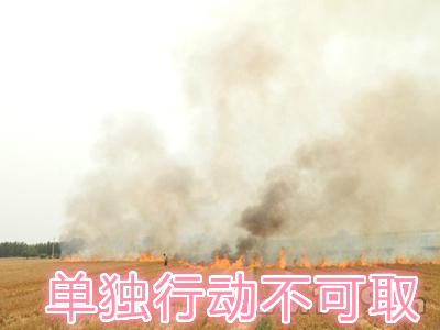 不要單獨一個人亂沖亂打：單獨行動被煙氣沖昏倒地，無人發(fā)覺被燒；