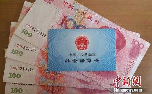 資料圖。中新網(wǎng)記者 李金磊 攝