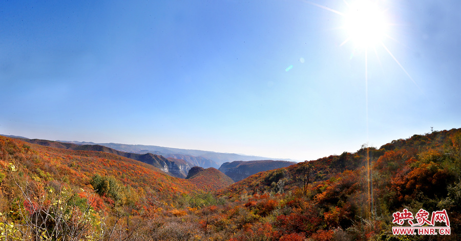 山頂遠眺，紅葉已經(jīng)綻放出絢麗的色彩
