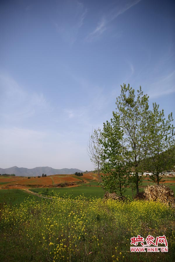庫(kù)區(qū)的藍(lán)天、白云、綠樹、黃花給人清新的享受