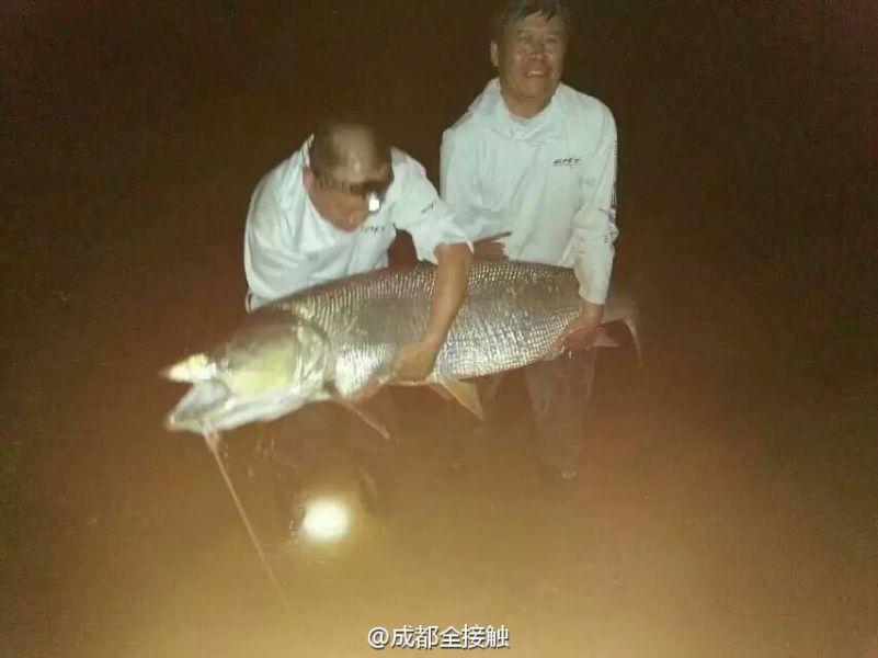 圖為大魚需要兩個(gè)人抱起。
