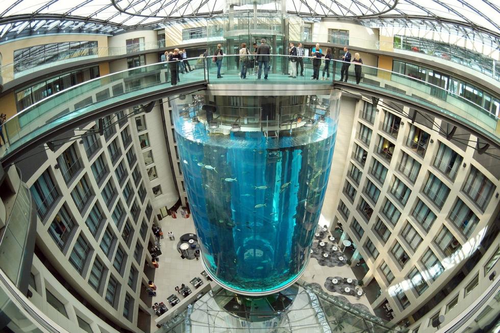 在圓柱水族館主體下方，還有一些別的展館。