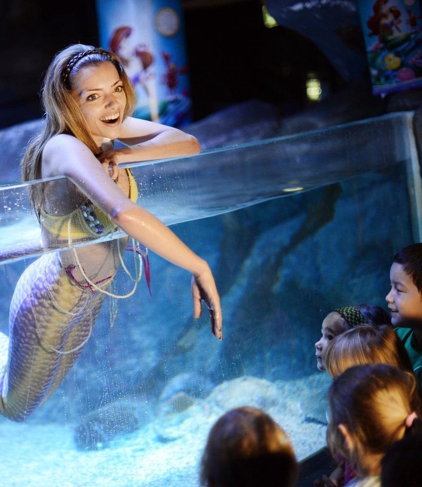 德國(guó)女演員安妮·門登在水族館里客串了一把“美人魚”，順便為她的電影《小美人魚》做宣傳。