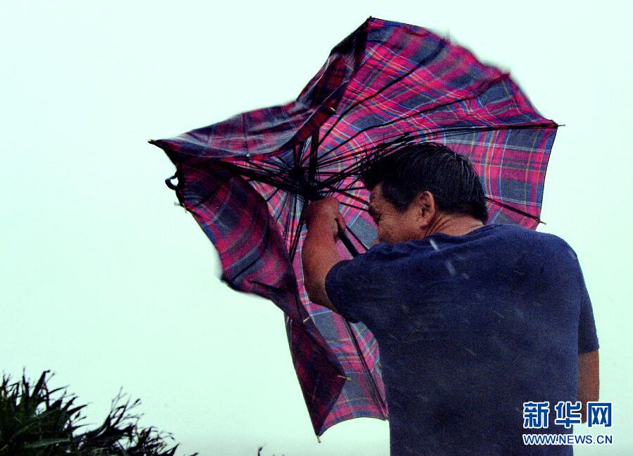 8月8日，福建省石獅市漁民在風(fēng)雨中前行。