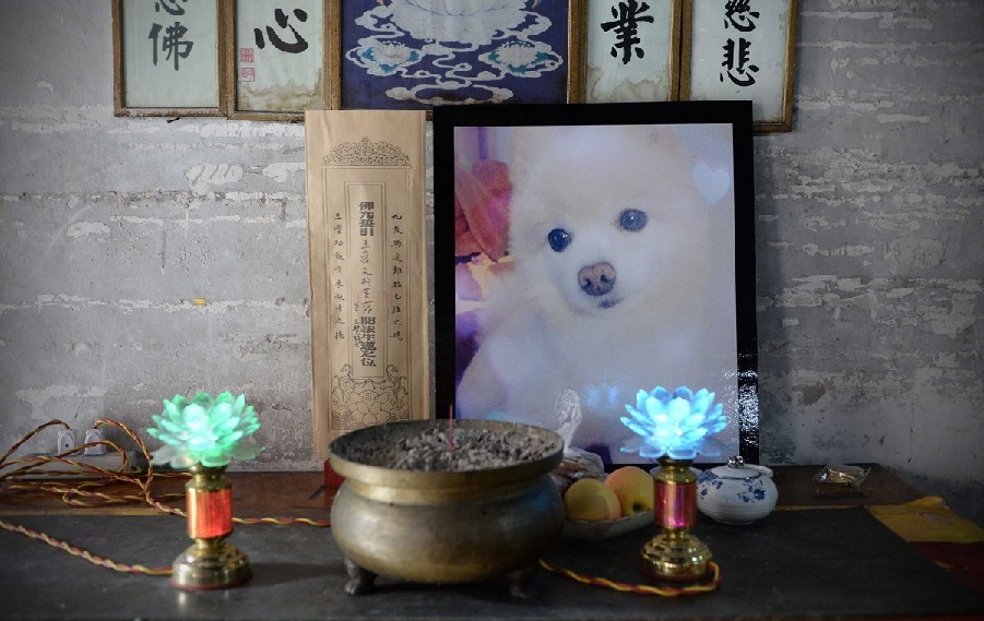 寵物狗的遺像被擺放在寺廟中。