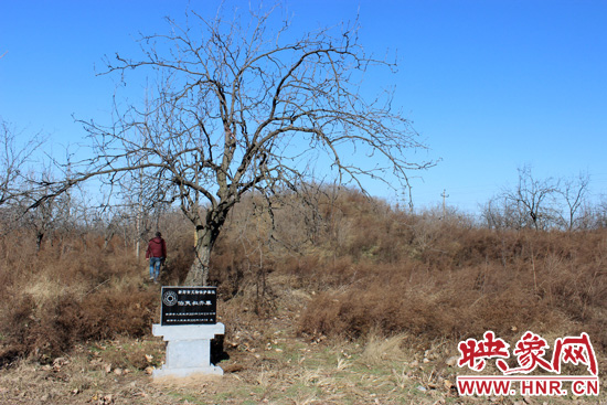 在叔齊墓的前面，豎著新鄭市人民政府今年剛立的石碑，上面寫著“新鄭市文物保護(hù)單位”。