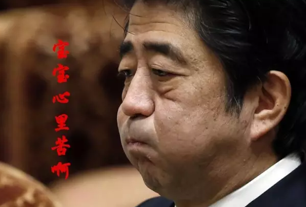 這種看安倍“熱鬧”的事兒，環(huán)環(huán)絕不私藏，一定雨露均沾!