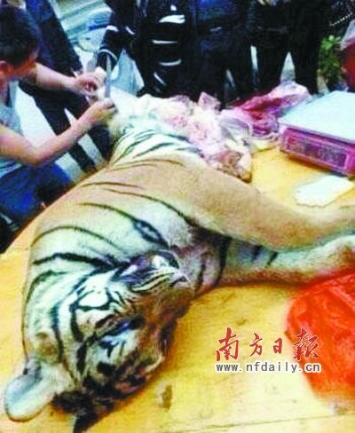 　殺虎現場。由匿名受訪人提供