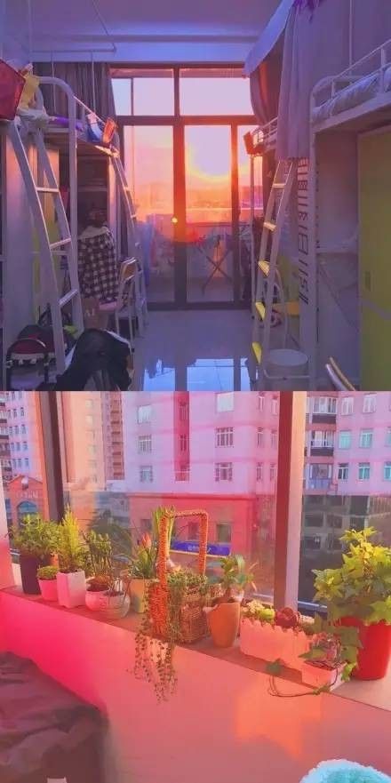 這個(gè)學(xué)校的男生宿舍火了！女同學(xué)都喊著要嫁
