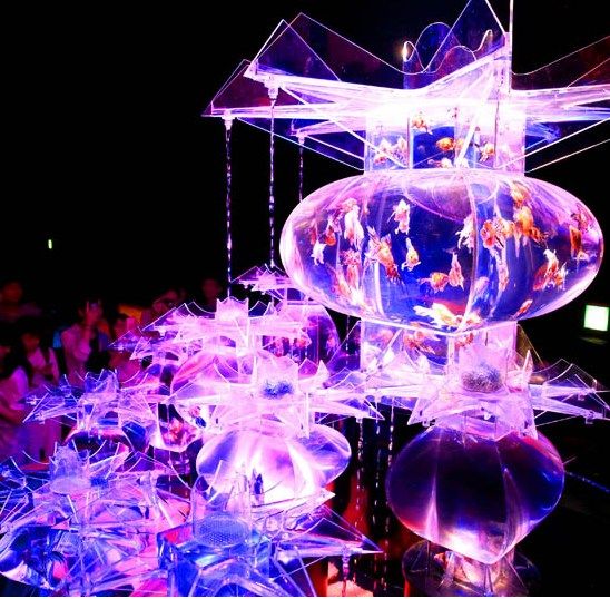 東京都中央?yún)^(qū)的日本橋三井大廳舉行水缸藝術展覽“Art Aquarium”