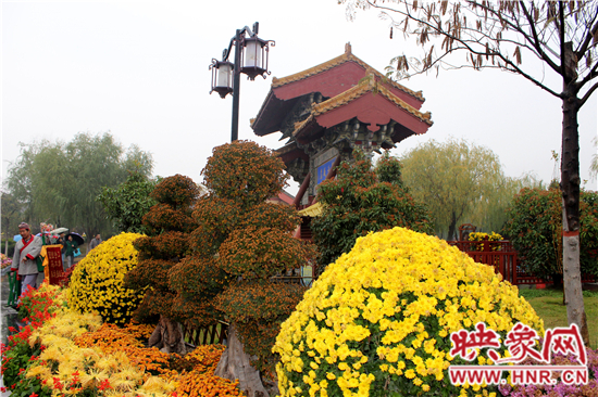 天好、花美 中國(guó)開(kāi)封第32屆菊花文化節(jié)延長(zhǎng)一周
