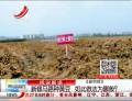 新修馬路種黃豆  如此做法為哪般？