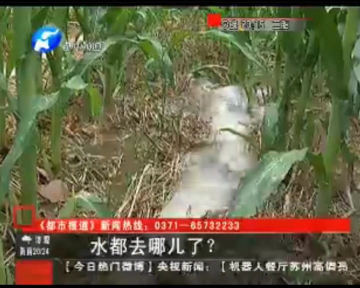 水都去哪了？
