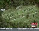 “垃圾場(chǎng)”拍婚紗：玩噱頭還是做環(huán)保？