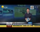 爽??！國足出線后還有驚喜 張稀哲狼堡首秀獻助攻