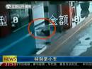 高速邊苦等十三天 主人你在哪里？