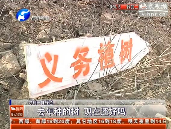 去年種的樹(shù) 現(xiàn)在還好嗎？
