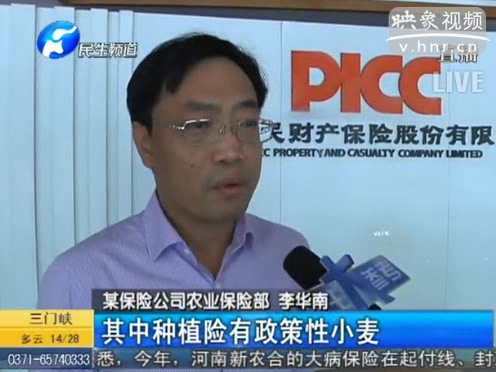 冰雹惹禍 損失能索賠嗎？