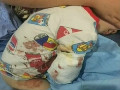 猛獸出沒 注意！2歲男童在動物園被白虎咬掉右臂