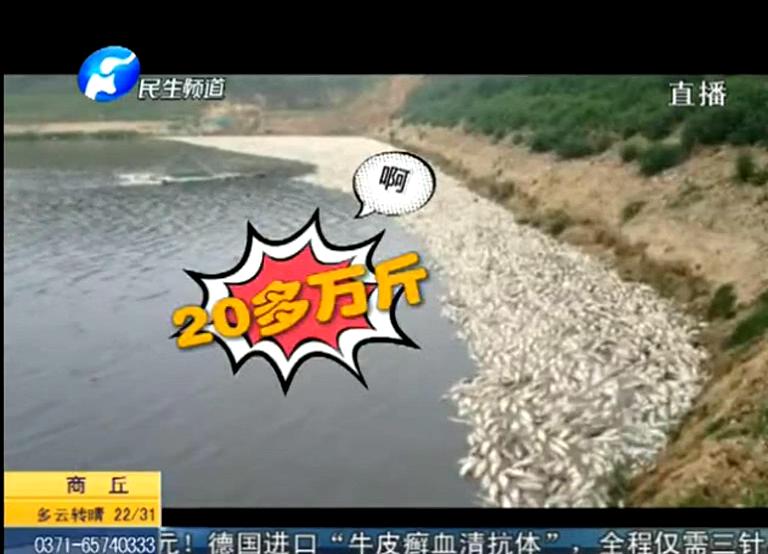 20萬斤魚翻肚因缺氧？
