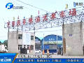 鎘超標大米 鄭州市場有售嗎？