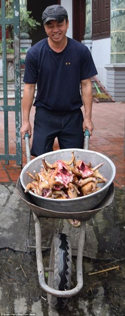 越南貓肉餐廳：將貓淹死、剝皮、切成小塊，再油炸